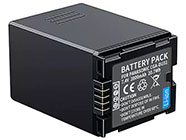 PANASONIC CGA-DU31 Battery